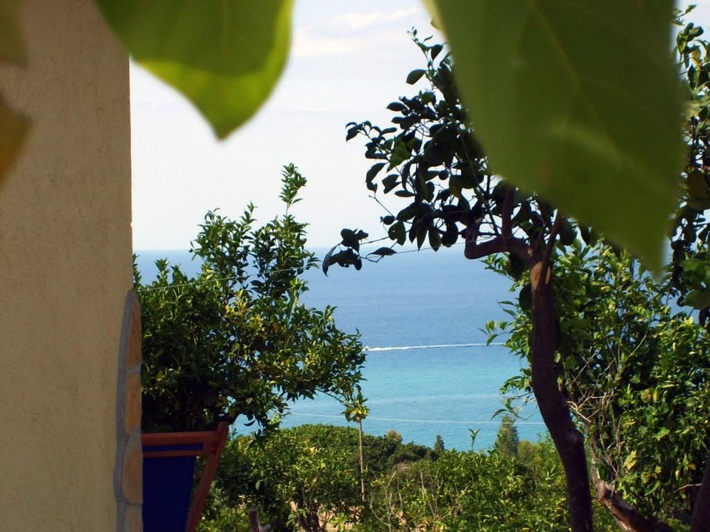 Goddess Yard Vila Tropea Exterior foto